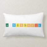 La Resistencia  Pillows (Lumbar)
