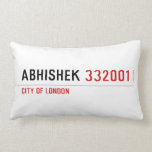 Abhishek  Pillows (Lumbar)