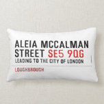 Aleia Mccalman Street  Pillows (Lumbar)