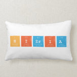 hizria  Pillows (Lumbar)
