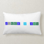 Higgs in space  Pillows (Lumbar)