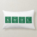 Karol  Pillows (Lumbar)