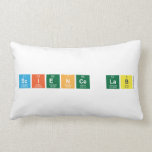 SCIENCE LAB  Pillows (Lumbar)