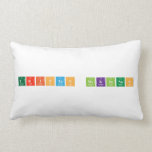 Tristan McKinnon   Pillows (Lumbar)