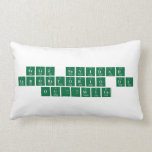 Feliz navidad 
 Laboratorio de
  química   Pillows (Lumbar)
