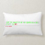 I am the master of my own universe! Street 34  Pillows (Lumbar)