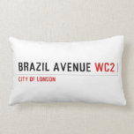 Brazil Avenue  Pillows (Lumbar)