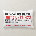 DekZalus Blvd.   Pillows (Lumbar)