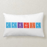 Zakaria  Pillows (Lumbar)
