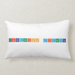 PROGRAMACION DIDACTICA  Pillows (Lumbar)