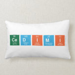 CEDIMI  Pillows (Lumbar)