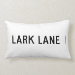 LARK LANE  Pillows (Lumbar)