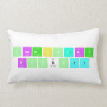 Chemistry 
 Rocks!!  Pillows (Lumbar)