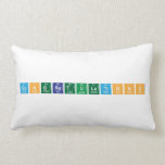 Congratulations  Pillows (Lumbar)