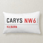 CARYS  Pillows (Lumbar)