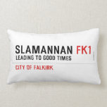 Slamannan  Pillows (Lumbar)