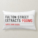 Fulton street Extracts  Pillows (Lumbar)