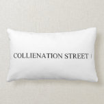 COLLIENATION STREET  Pillows (Lumbar)