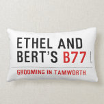 ETHeL and Bert’s  Pillows (Lumbar)