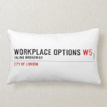 Workplace Options  Pillows (Lumbar)