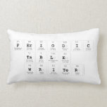 Periodic Table Writer  Pillows (Lumbar)