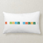 I love Science   Pillows (Lumbar)