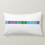 Niknakpattywak
   Pillows (Lumbar)