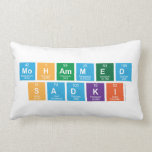 Mohammed
 sadki  Pillows (Lumbar)