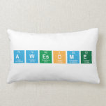 awesome  Pillows (Lumbar)