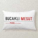 BUCAKLI  Pillows (Lumbar)