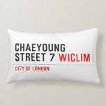 Chaeyoung Street 7  Pillows (Lumbar)
