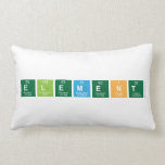 ELEMENT  Pillows (Lumbar)