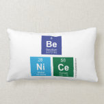 Be
 NiCe  Pillows (Lumbar)