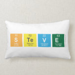 Steve  Pillows (Lumbar)