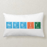 reddit  Pillows (Lumbar)