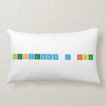 BIENVENIDOS A CLASES  Pillows (Lumbar)