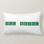 Noel Ramirez  Pillows (Lumbar)