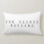 STEM Success
 Workshop  Pillows (Lumbar)