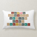 Creating
 Solutions
 Through
 Green
 Chemistry
   Pillows (Lumbar)