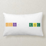 PPCS-  EAST  Pillows (Lumbar)