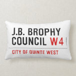 J.B. BROPHY COUNCIL  Pillows (Lumbar)