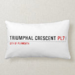 Triumphal Crescent  Pillows (Lumbar)
