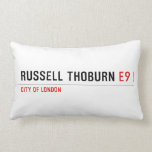 Russell Thoburn  Pillows (Lumbar)