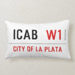 ICAB   Pillows (Lumbar)