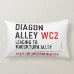 Diagon  Alley  Pillows (Lumbar)
