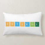 Phyoming  Pillows (Lumbar)