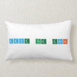 Dave The Great  Pillows (Lumbar)
