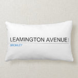 Leamington Avenue  Pillows (Lumbar)