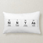 Ninyas  Pillows (Lumbar)