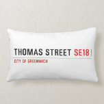 THOMAS STREET  Pillows (Lumbar)